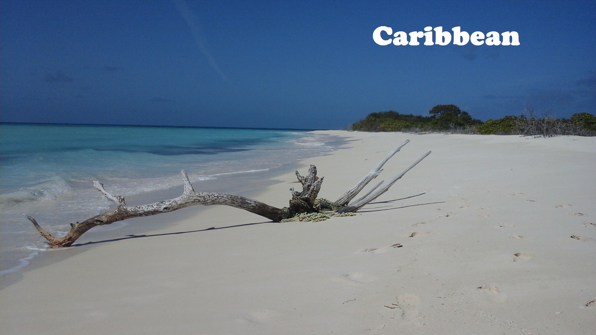 Anegada